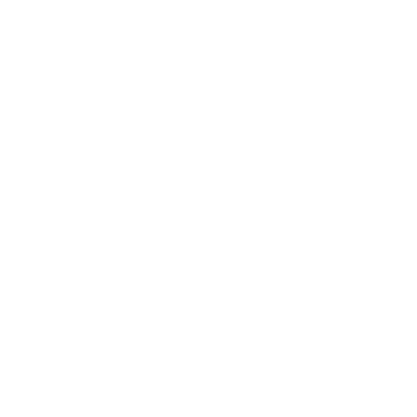 anki team logo